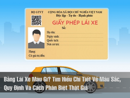 Bằng Lái Xe Màu Gì? Tìm Hiểu Chi Tiết Về Màu Sắc, Quy Định Và Cách Phân Biệt Thật Giả